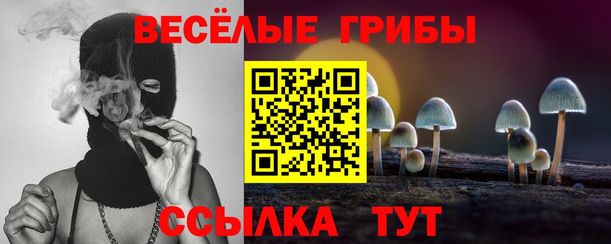 Псилоцибиновые грибы Psilocybine cubensis Саянск